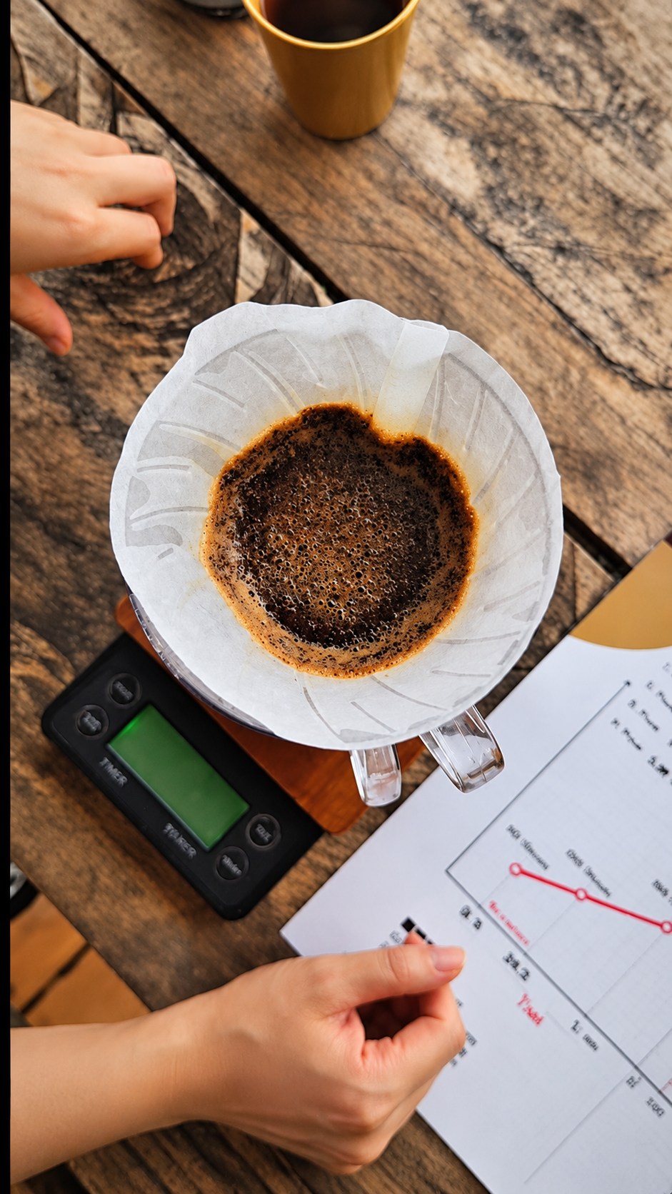 Pour-over coffee tasting and brewing notes at a Chiang Mai coffee farm