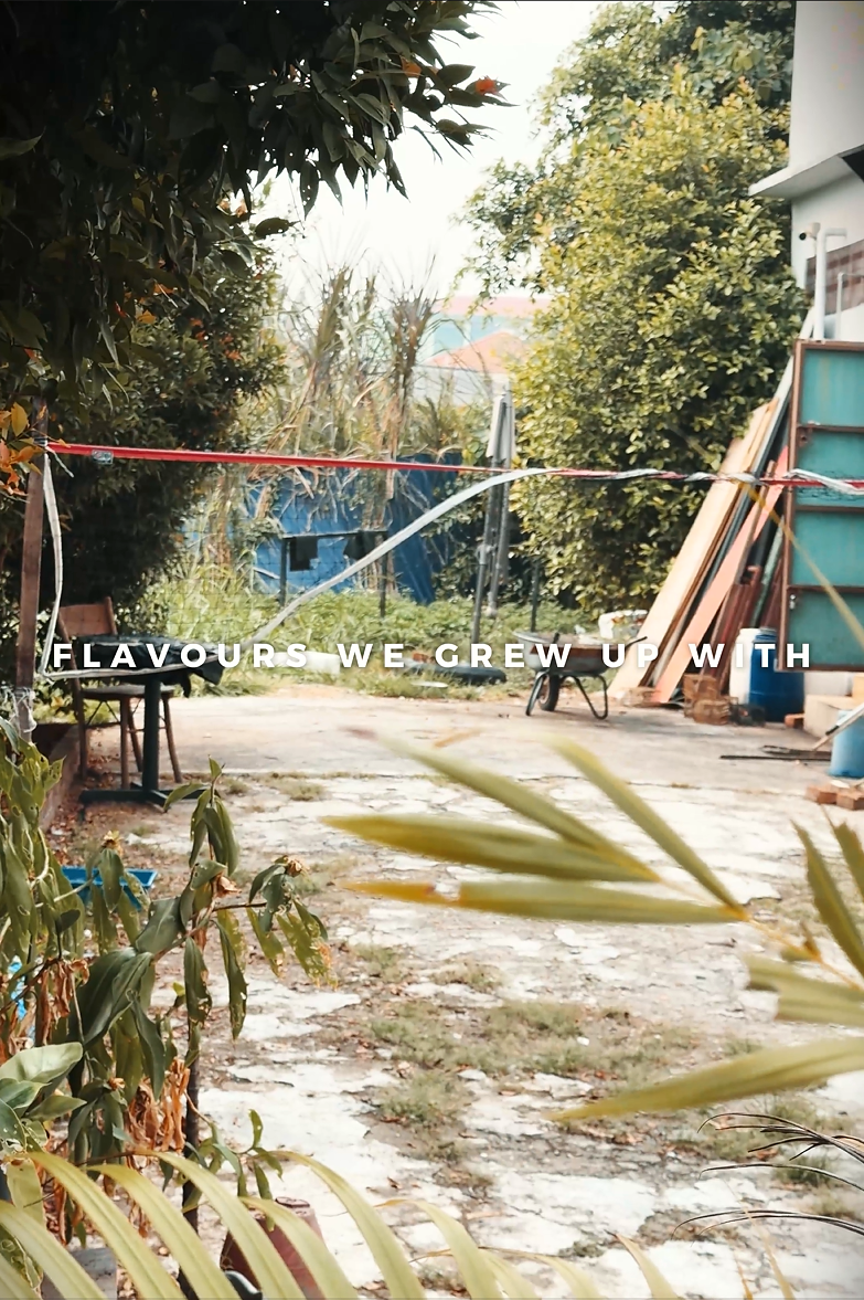 Childhood home yard and neighbourhood memory scene